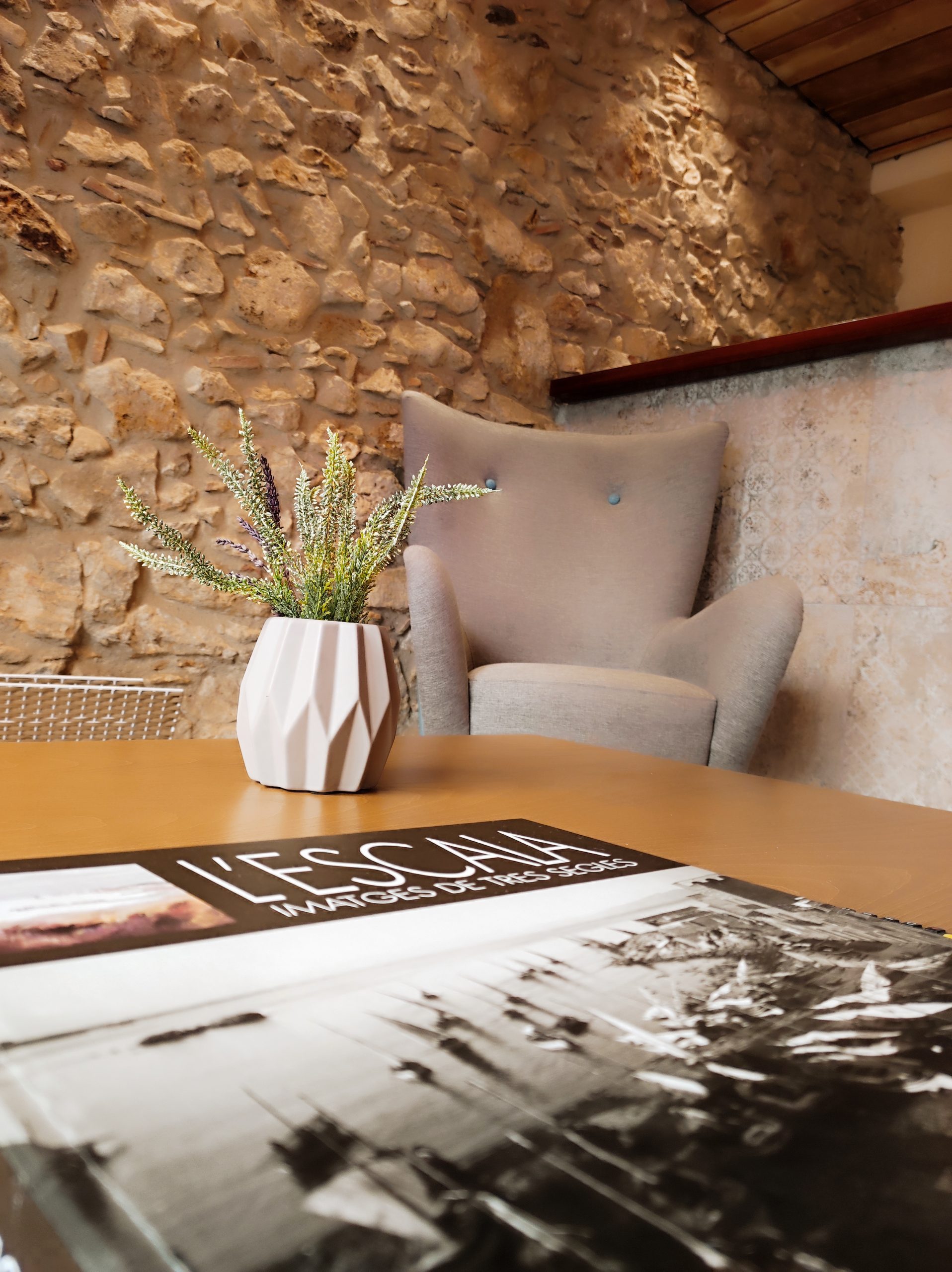 IMG_20230421_133247 – copia – copia