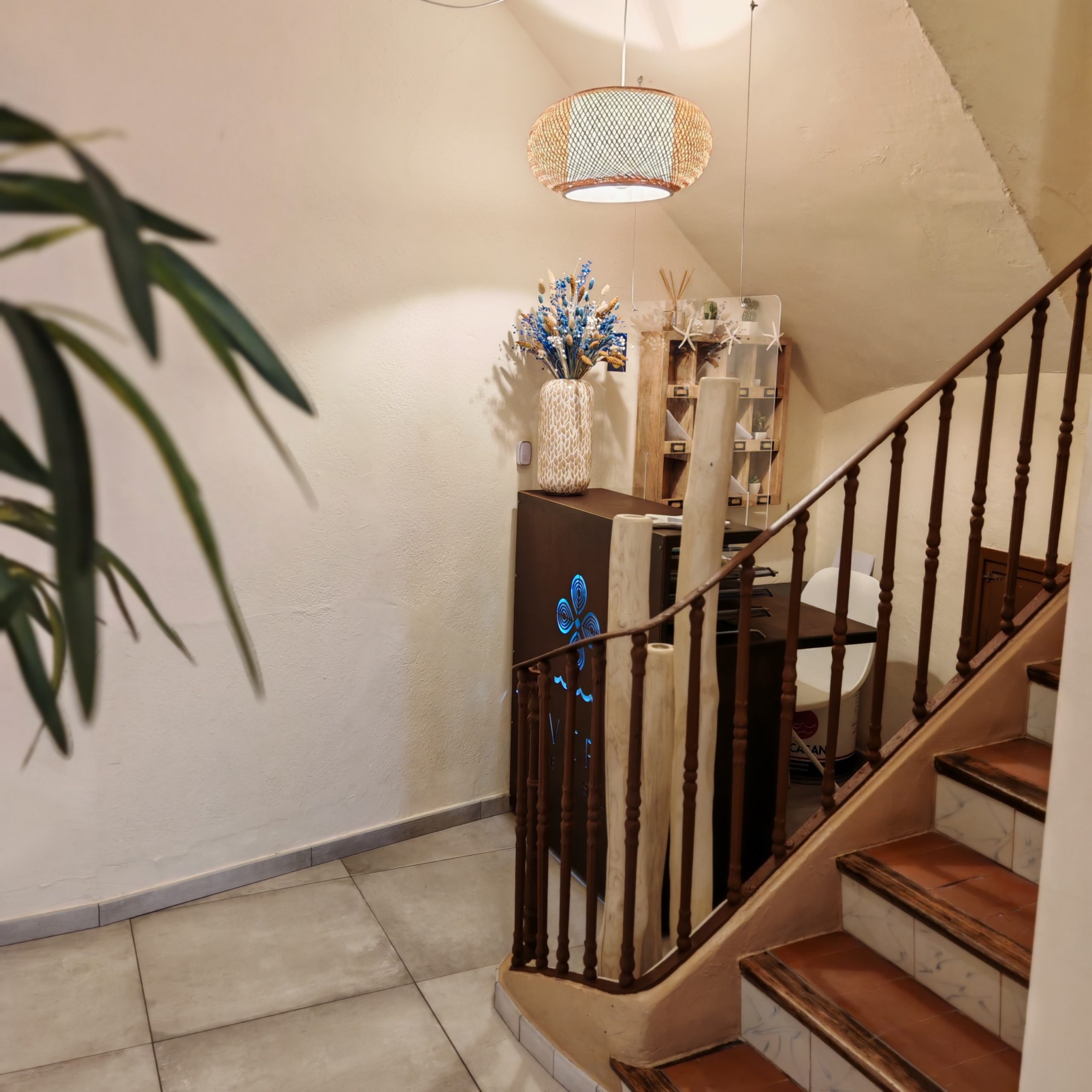 IMG_20240911_084816 – copia – copia