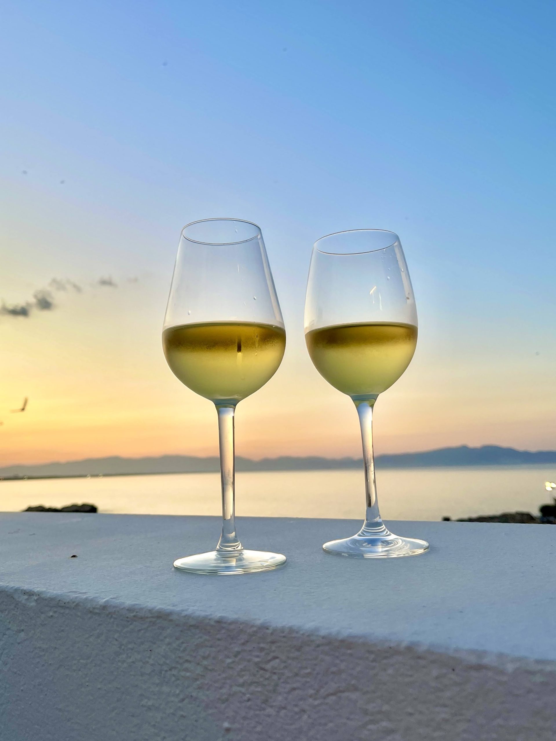 image3 – copia – copia